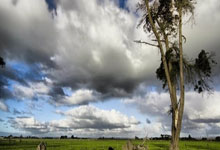 瑞士公开赛：国羽四冠两亚收官 翁泓阳陈雨菲登顶.