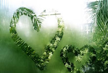 英超-帕尔默破门无果 切尔西1-1水晶宫四轮不胜.