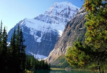 悟空体育：游泳世界杯新加坡站男子50米蛙泳 覃海洋夺得金牌央视新闻客户端.